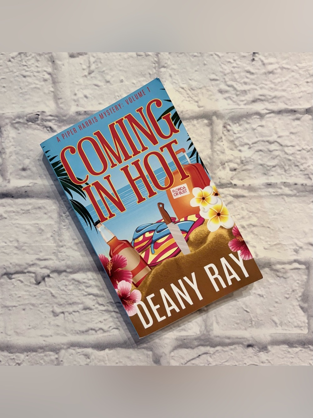 Coming In Hot | Deany Ray paperback novel book